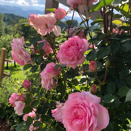 Apartma Rosa Spodnji Otok Екстериор снимка